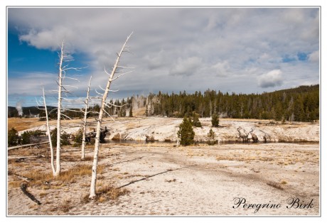 24 Wyoming, Yellowstone np, geysers