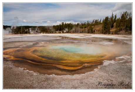 26 Wyoming, Yellowstone np, geysers