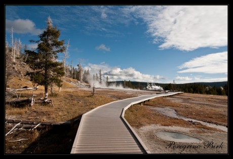 31 Wyoming, Yellowstone np, geysers