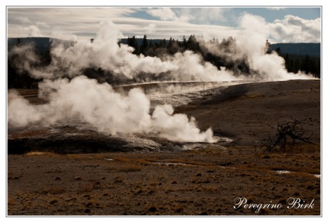 33 Wyoming, Yellowstone np, geysers