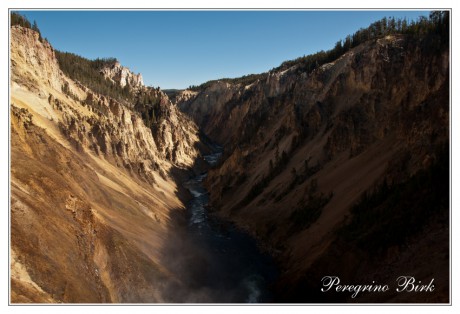 51 Wyoming, Yellowstone np, Lower fall