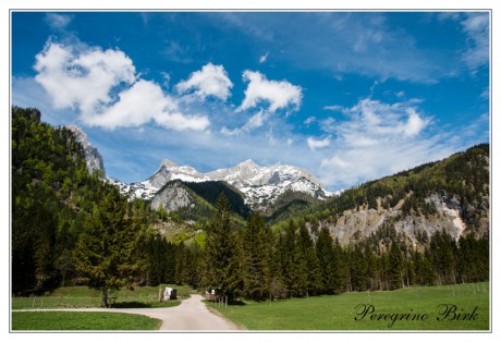 24 Totes Gebirge, Grosser Priel, pohled z údolí