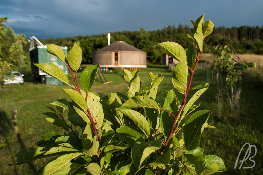 20150623-_DSC2219