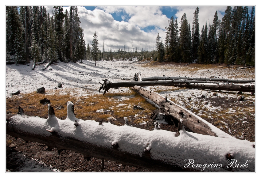 3 Wyoming, Yellowstone