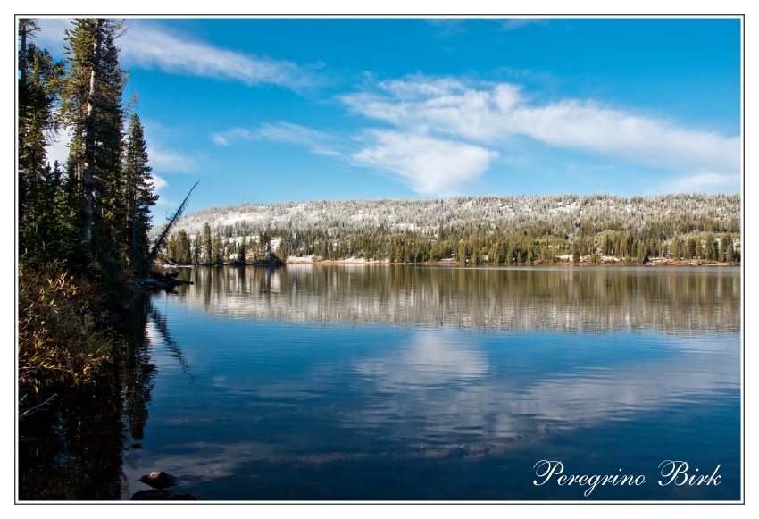 4 Wyoming, Yellowstone np, Lewis lake