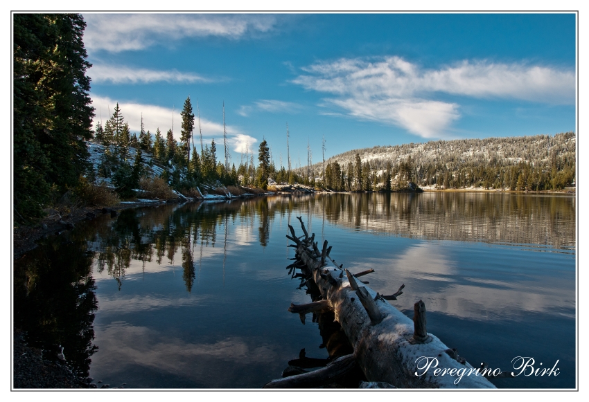 6 Wyoming, Yellowstone np, Lewis lake