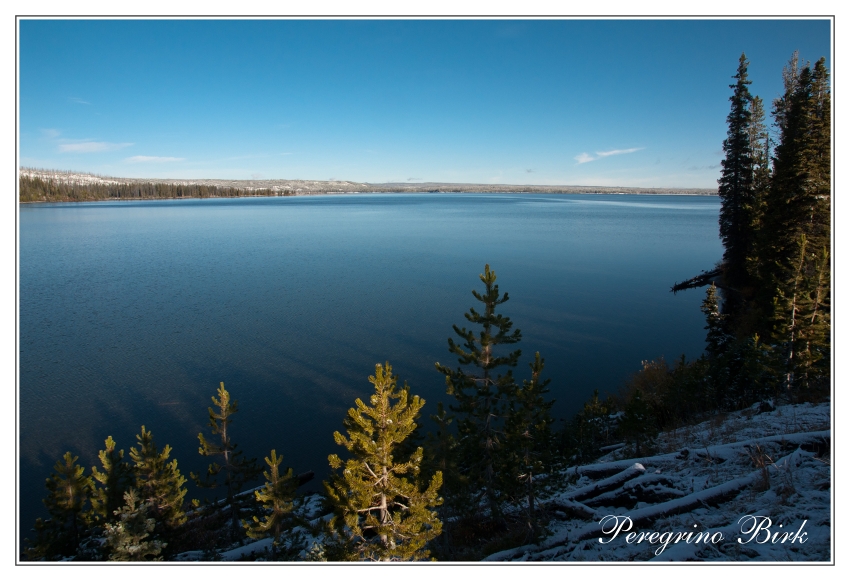 7 Wyoming, Yellowstone np, Lewis lake