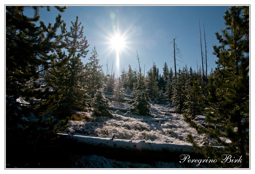 8 Wyoming, Yellowstone np