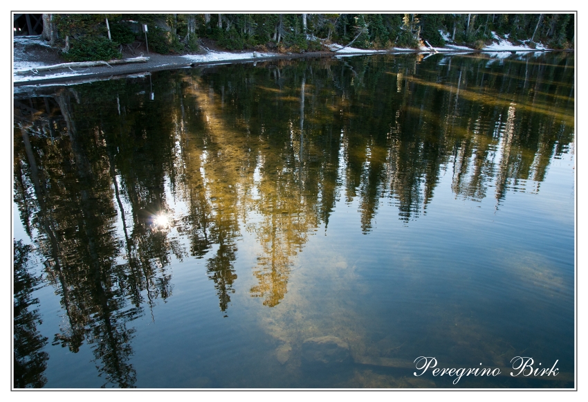 9 Wyoming, Yellowstone np, Lewis lake