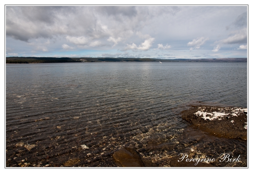 13 Wyoming, Yellowstone np, Yellowstone lake