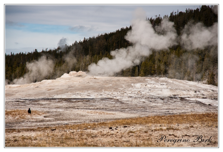 14 Wyoming, Yellowstone np, Old Faithful