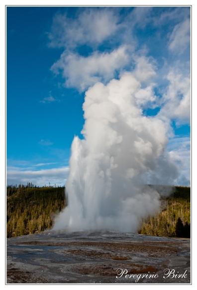 15 Wyoming, Yellowstone np, Old Faithful