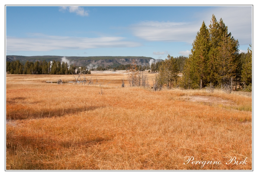 18 Wyoming, Yellowstone np, geysers