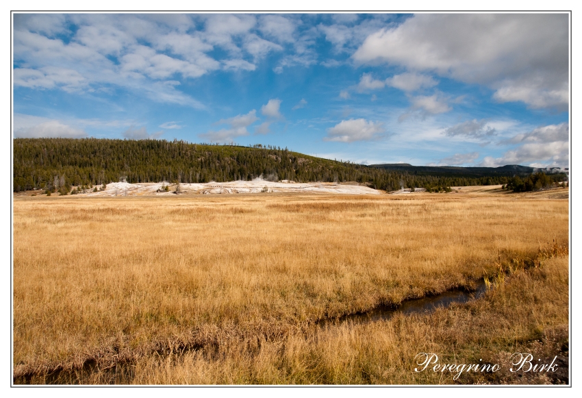 19 Wyoming, Yellowstone np, geysers