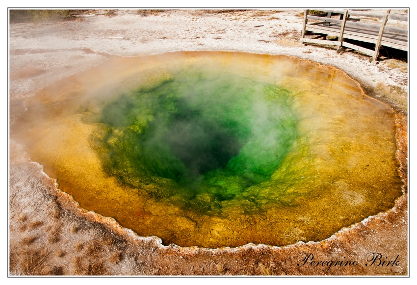 28 Wyoming, Yellowstone np, geysers