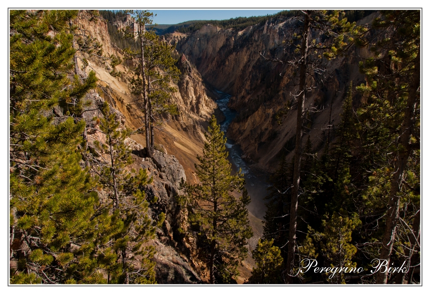 49 Wyoming, Yellowstone np