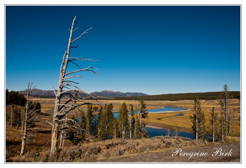 55 Wyoming, Yellowstone np, Yellowstone river