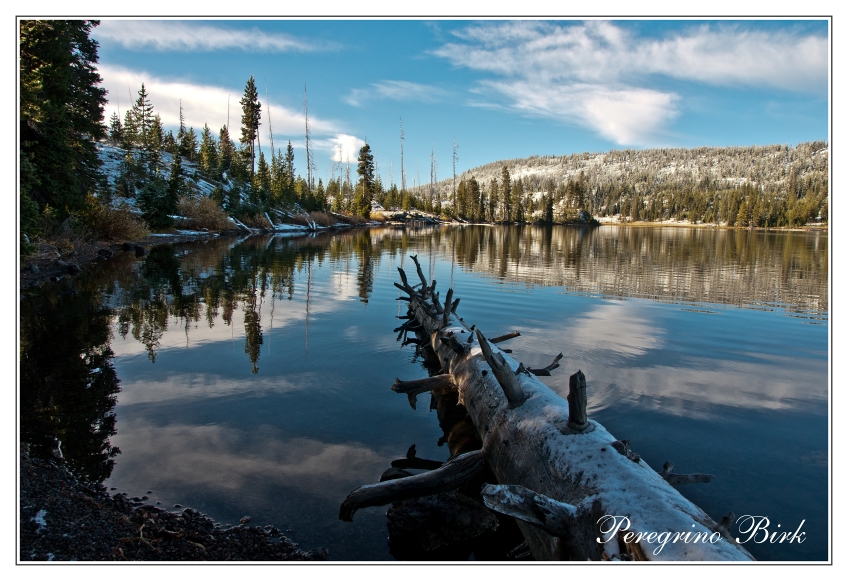 5 Wyoming, Yellowstone np, Lewis lake