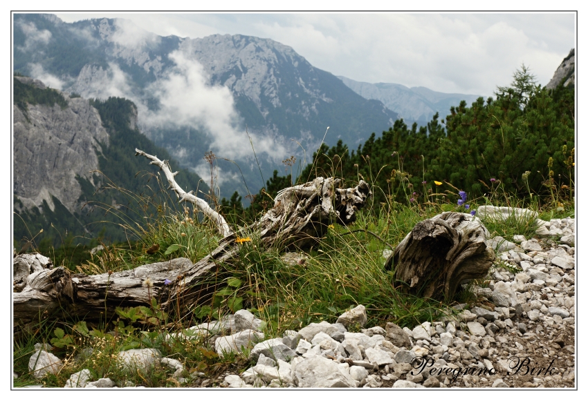 1 Hochschwab, cestou nahoru