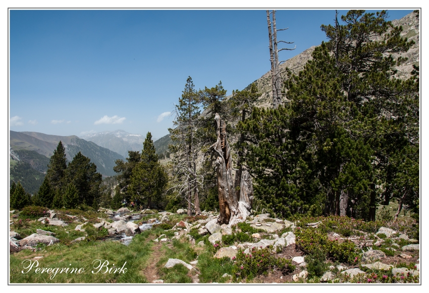 11 Pyreneje, údolí Ballibierna , gr11