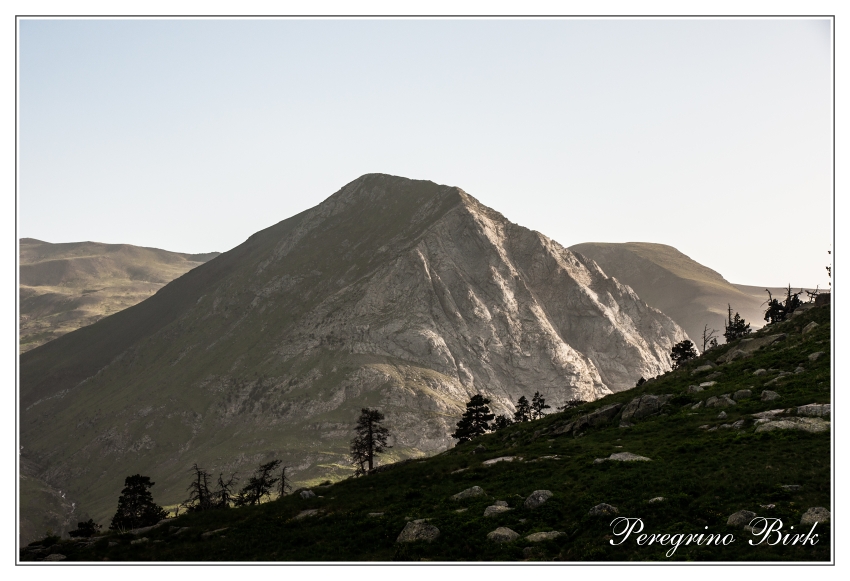 16 Pyreneje, serra negra